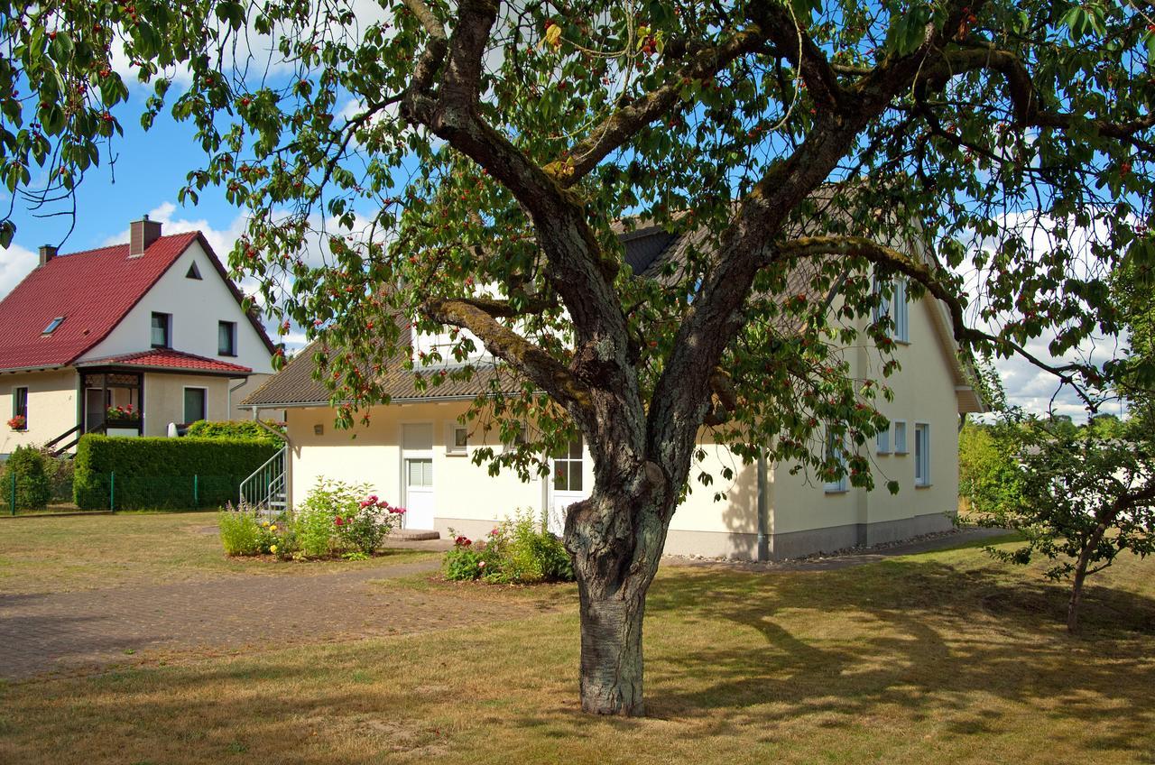 Apartmán Sonnenhus - Ruegen Sellin  Exteriér fotografie